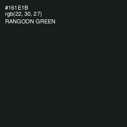 #161E1B - Rangoon Green Color Image